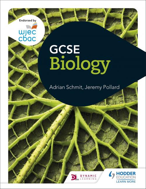 Cover of the book WJEC GCSE Biology by Adrian Schmit, Jeremy Pollard, Hodder Education