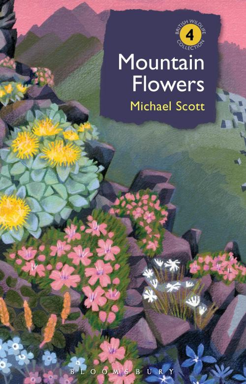 Cover of the book Mountain Flowers by Michael Scott, Bloomsbury Publishing