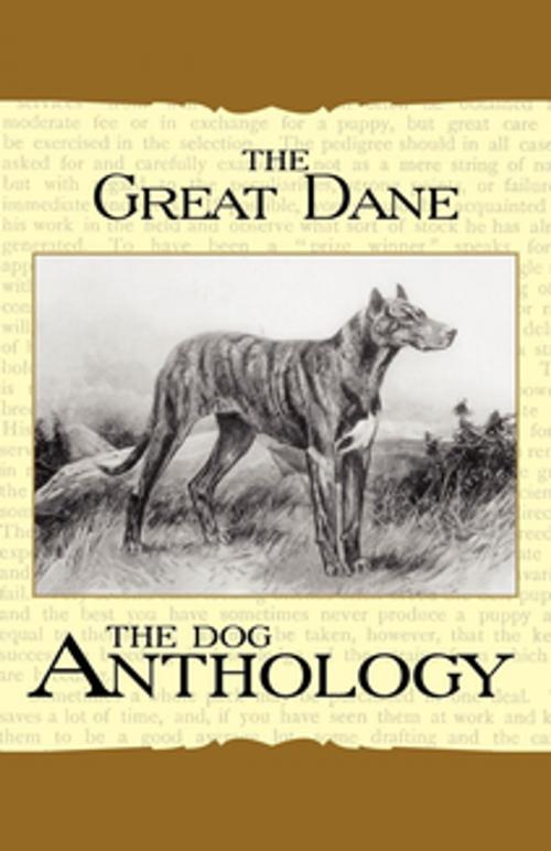 Cover of the book The Great Dane - A Dog Anthology (A Vintage Dog Books Breed Classic) by Various Authors, Read Books Ltd.