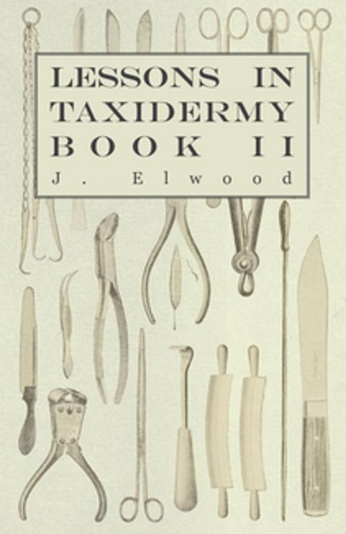 Cover of the book Lessons in Taxidermy - A Comprehensive Treatise on Collecting and Preserving all Subjects of Natural History - Book II. by J. Elwood, Read Books Ltd.