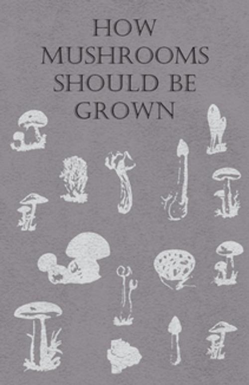 Cover of the book How Mushrooms Should Be Grown by Anon, Read Books Ltd.