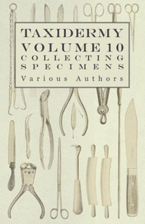 Cover of the book Taxidermy Vol. 10 Collecting Specimens - The Collection and Displaying Taxidermy Specimens by Various, Read Books Ltd.