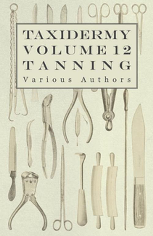 Cover of the book Taxidermy Vol. 12 Tanning - Outlining the Various Methods of Tanning by Various, Read Books Ltd.
