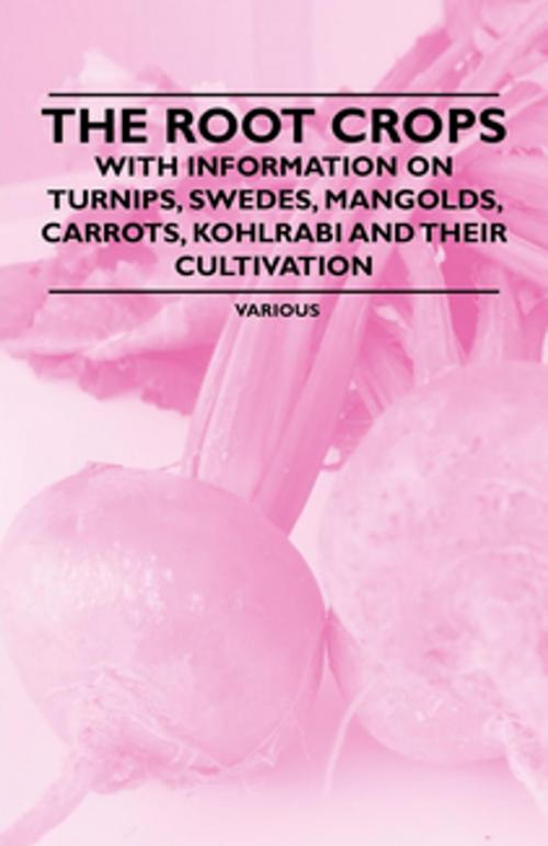 Cover of the book The Root Crops - With Information on Turnips, Swedes, Mangolds, Carrots, Kohlrabi and Their Cultivation by Various Authors, Read Books Ltd.