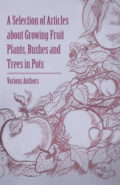 Cover of the book A Selection of Articles about Growing Fruit Plants, Bushes and Trees in Pots by Various Authors, Read Books Ltd.