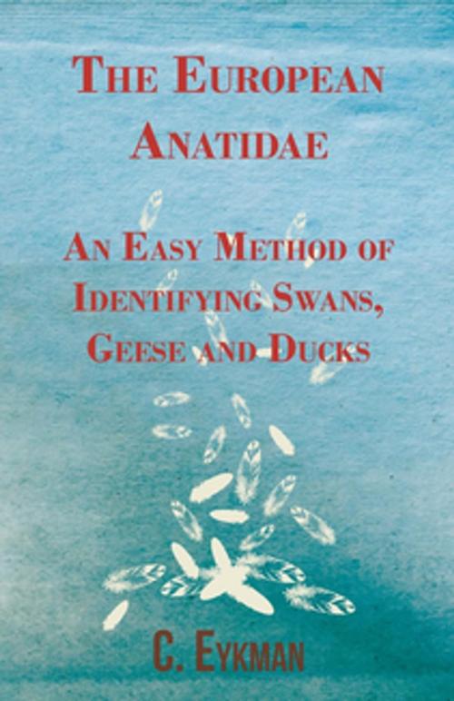 Cover of the book The European Anatidae - An Easy Method of Identifying Swans, Geese and Ducks by C. Eykman, Read Books Ltd.