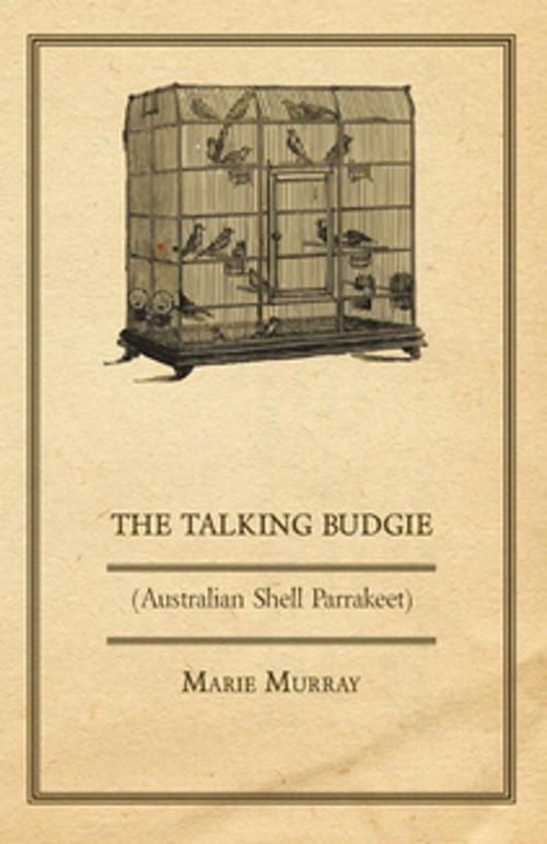 Cover of the book The Talking Budgie (Australian Shell Parrakeet) by Marie Murray, Read Books Ltd.