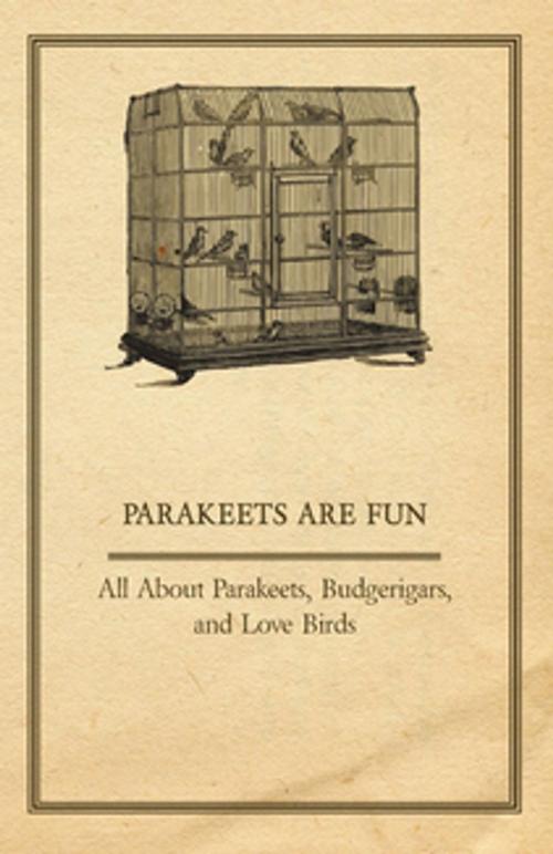 Cover of the book Parakeets are Fun - All About Parakeets, Budgerigars, and Love Birds by Anon, Read Books Ltd.