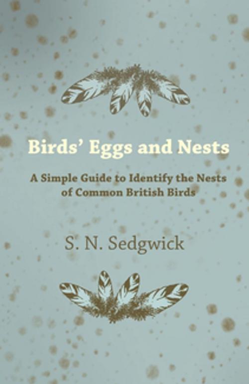 Cover of the book Birds' Eggs and Nests - A Simple Guide to Identify the Nests of Common British Birds by S. N. Sedgwick, Read Books Ltd.