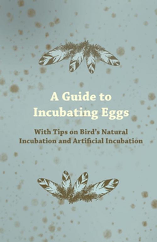 Cover of the book A Guide to Incubating Eggs - With Tips on Bird's Natural Incubation and Artificial Incubation by Anon, Read Books Ltd.