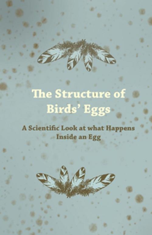 Cover of the book The Structure of Birds' Eggs - A Scientific Look at what Happens Inside an Egg by Anon, Read Books Ltd.