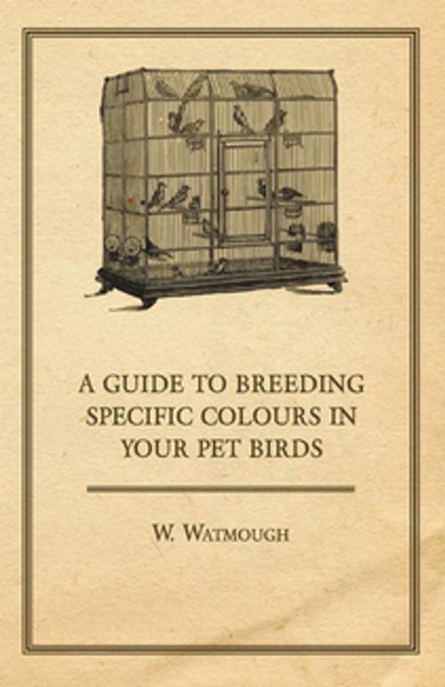 Cover of the book A Guide to Breeding Specific Colours in Your Pet Birds by W. Watmough, Read Books Ltd.