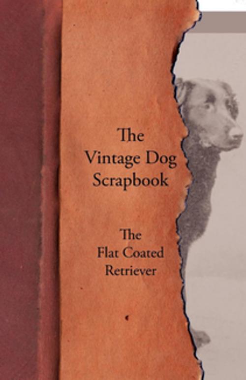 Cover of the book The Vintage Dog Scrapbook - The Flat Coated Retriever by Various Authors, Read Books Ltd.
