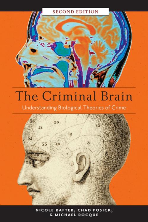 Cover of the book The Criminal Brain, Second Edition by Nicole Rafter, Chad Posick, Michael Rocque, NYU Press
