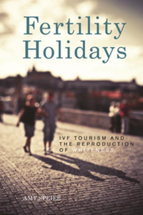 Cover of the book Fertility Holidays by Amy Speier, NYU Press