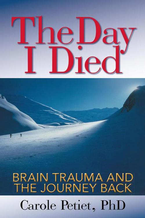 Cover of the book The Day I Died by Carole Petiet PhD, Archway Publishing