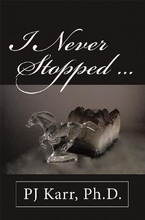 Cover of the book I Never Stopped . . . by PJ Karr Ph.D., Archway Publishing