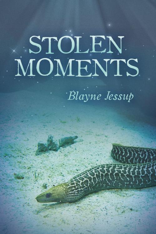Cover of the book Stolen Moments by Blayne Jessup, BookBaby