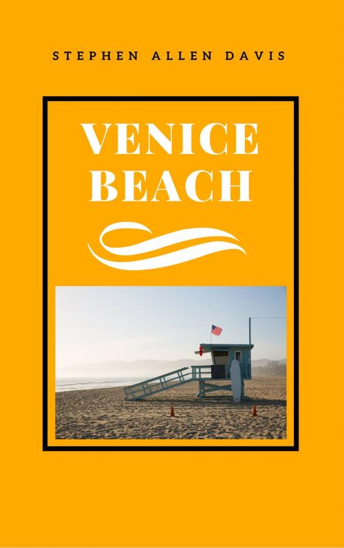 Cover of the book Venice Beach by Stephen Allen Davis, BookBaby