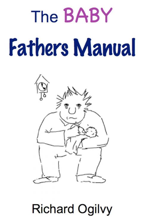 Cover of the book The Baby Fathers Manual by Richard Ogilvy, BookBaby