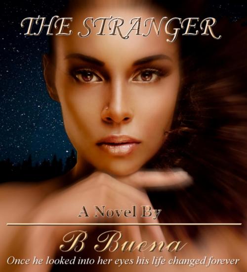 Cover of the book The Stranger by B Buena, BookBaby