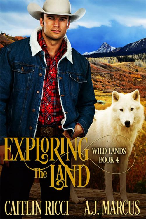 Cover of the book Exploring the Land by Caitlin Ricci, A.J. Marcus, eXtasy Books Inc