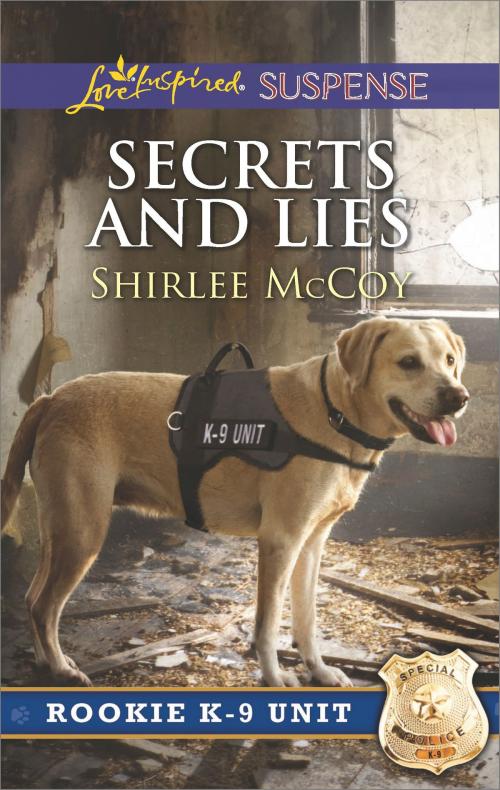 Cover of the book Secrets and Lies by Shirlee McCoy, Harlequin