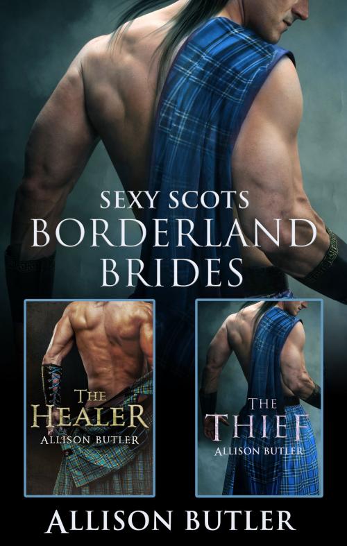 Cover of the book Borderland Brides/The Healer/The Thief by Allison Butler, Escape Publishing
