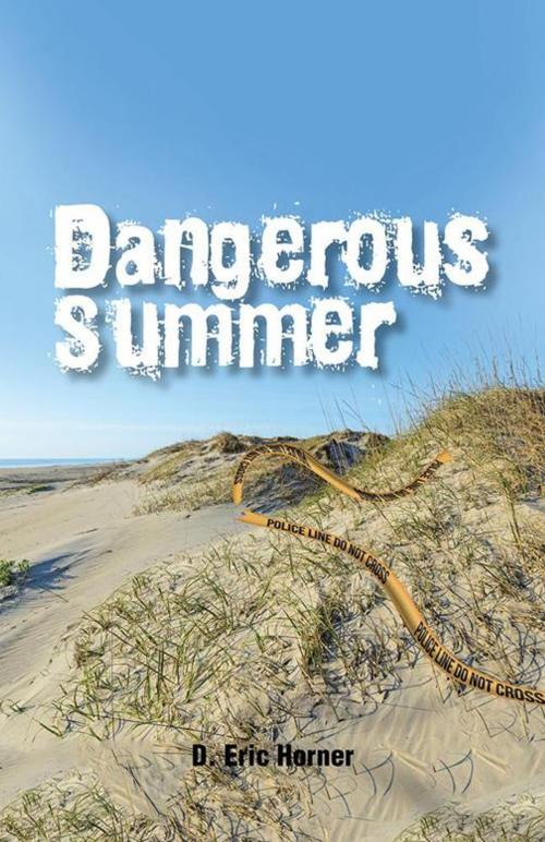 Cover of the book Dangerous Summer by D. Eric Horner, Trafford Publishing