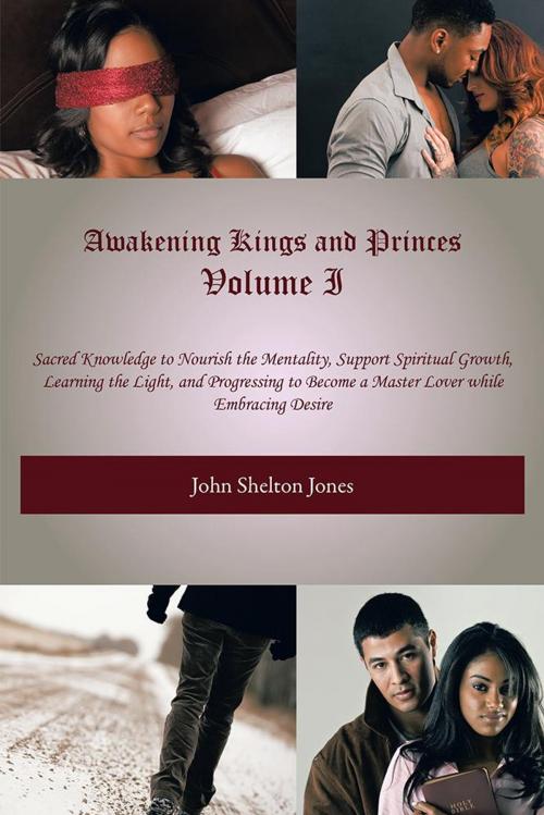 Cover of the book Awakening Kings and Princes Volume I by John Shelton Jones, Trafford Publishing