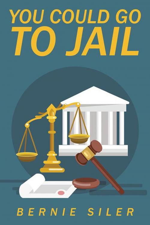 Cover of the book You Could Go to Jail by Bernie Siler, iUniverse