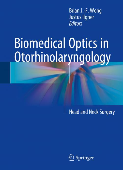 Cover of the book Biomedical Optics in Otorhinolaryngology by , Springer New York