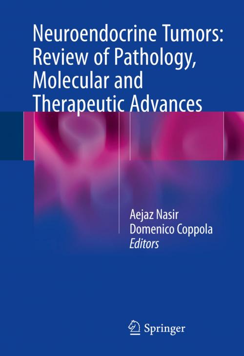 Cover of the book Neuroendocrine Tumors: Review of Pathology, Molecular and Therapeutic Advances by , Springer New York