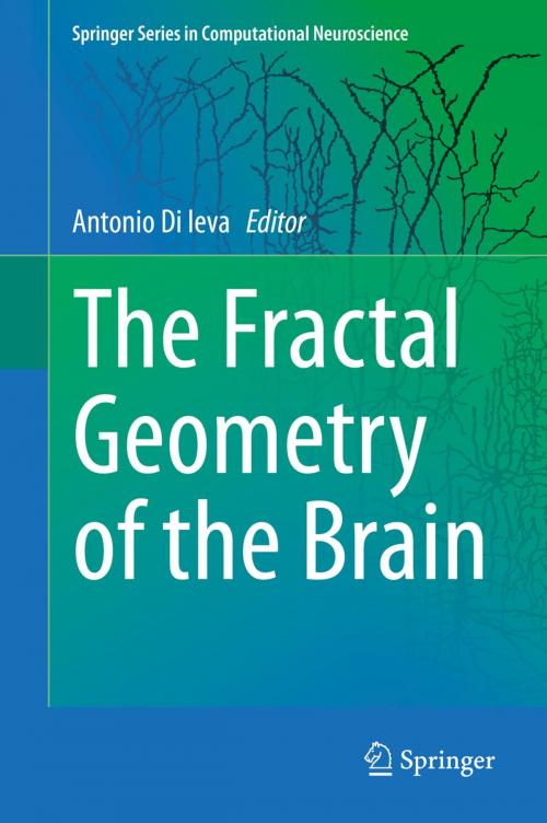 Cover of the book The Fractal Geometry of the Brain by , Springer New York