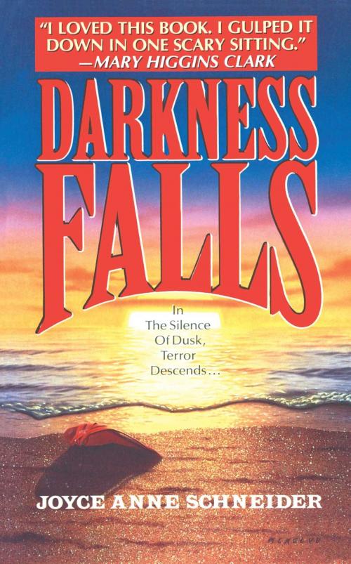 Cover of the book DARKNESS FALLS by Joyce Anne Schneider, Pocket Books