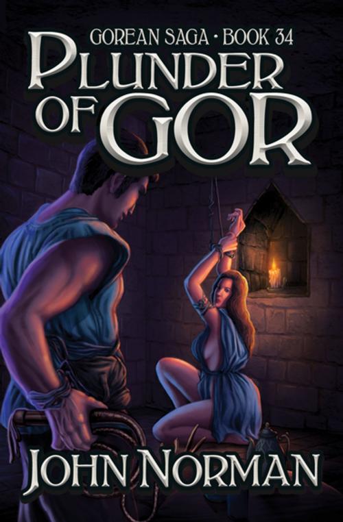 Cover of the book Plunder of Gor by John Norman, Open Road Media
