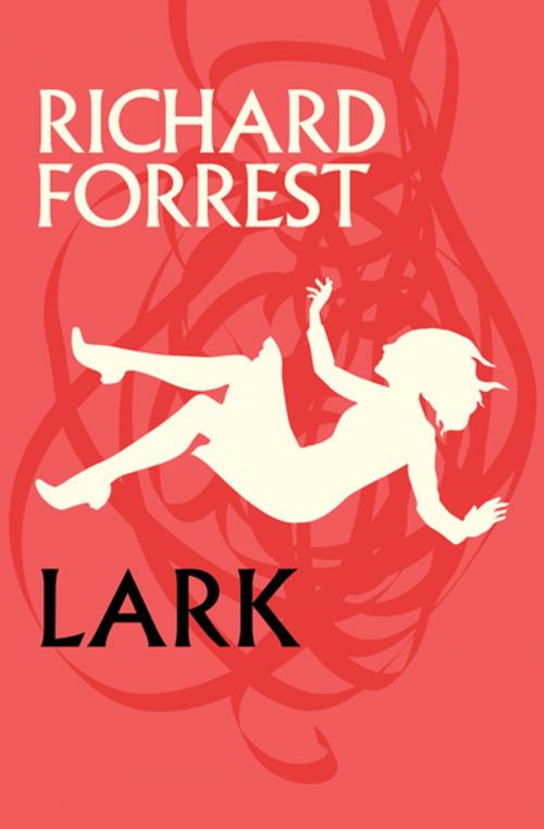 Cover of the book Lark by Richard Forrest, MysteriousPress.com/Open Road