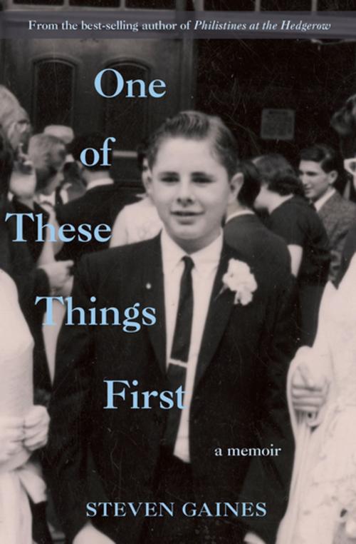 Cover of the book One of These Things First by Steven Gaines, Delphinium Books