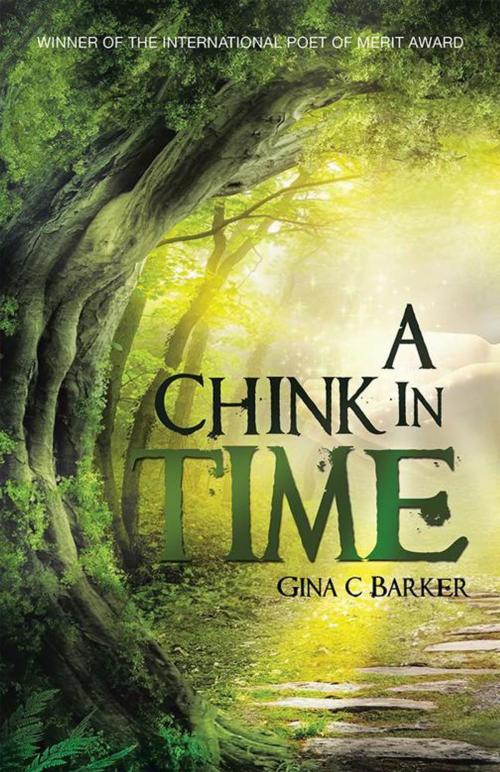 Cover of the book A Chink in Time by Gina C Barker, Balboa Press