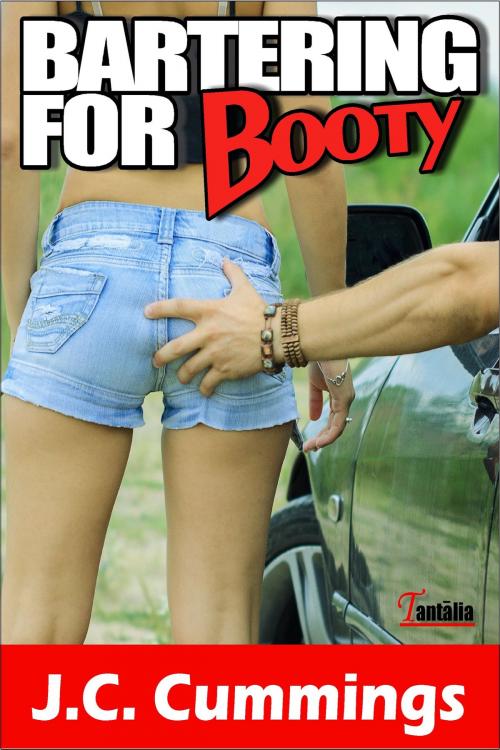 Cover of the book Bartering for Booty by J.C. Cummings, Excessica