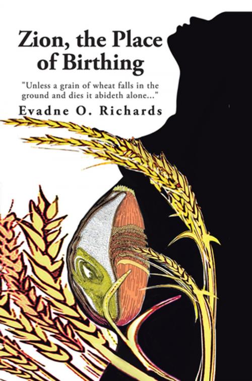 Cover of the book Zion, the Place of Birthing by Evadne O. Richards, AuthorHouse
