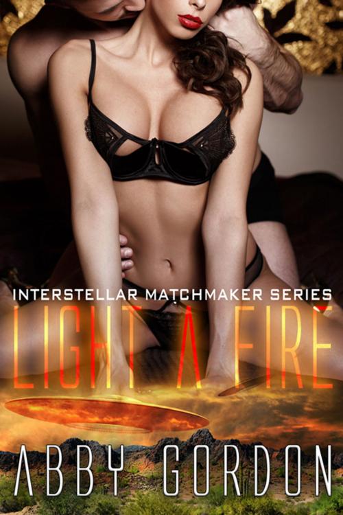 Cover of the book Light A Fire by Abby  Gordon, The Wild Rose Press, Inc.