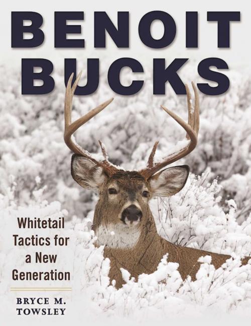 Cover of the book Benoit Bucks by Bryce M. Towsley, Skyhorse