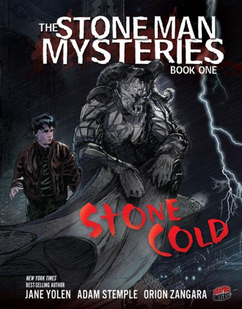 Cover of the book Stone Cold by Adam Stemple, Jane Yolen, Lerner Publishing Group