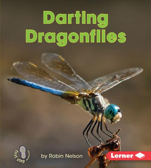 Cover of the book Darting Dragonflies by Robin Nelson, Lerner Publishing Group