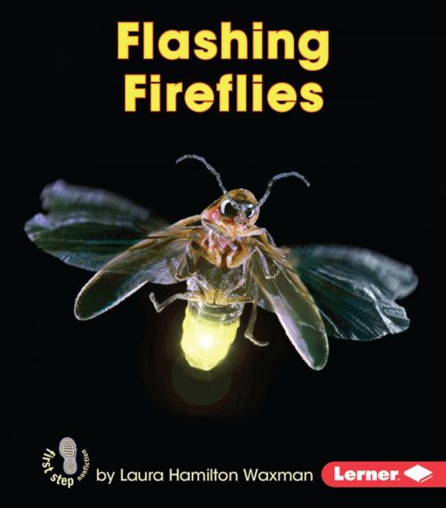 Cover of the book Flashing Fireflies by Laura Hamilton Waxman, Lerner Publishing Group