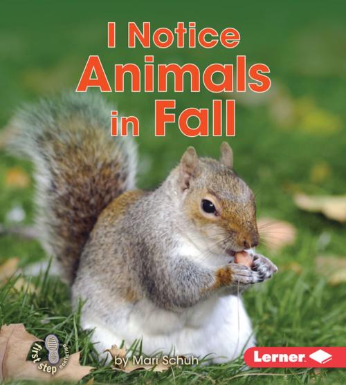 Cover of the book I Notice Animals in Fall by Mari Schuh, Lerner Publishing Group