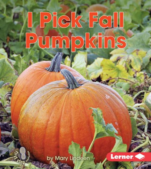 Cover of the book I Pick Fall Pumpkins by Mary Lindeen, Lerner Publishing Group