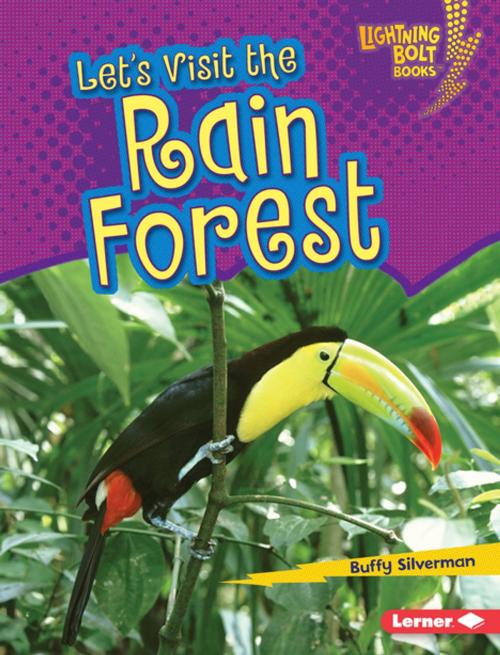 Cover of the book Let's Visit the Rain Forest by Buffy Silverman, Lerner Publishing Group