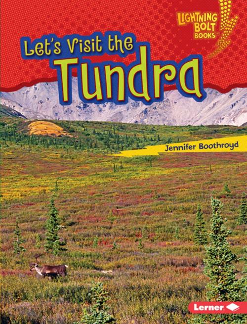 Cover of the book Let's Visit the Tundra by Jennifer Boothroyd, Lerner Publishing Group
